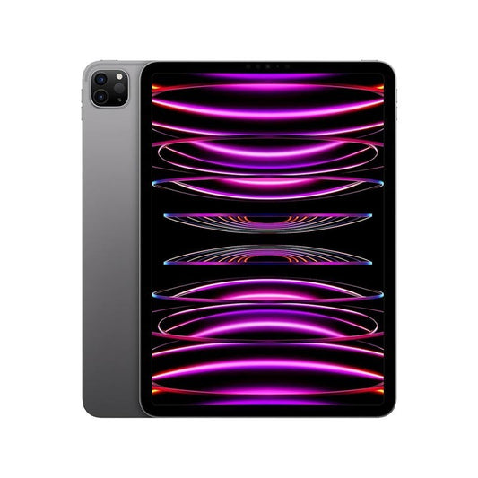 Apple iPad Pro 11" Chip M4 2024 Wi-Fi Grigio Siderale 256GB - Garanzia Apple 24 mesi
